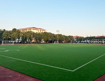 Pure-PT Shanghai Soong Ching Ling School