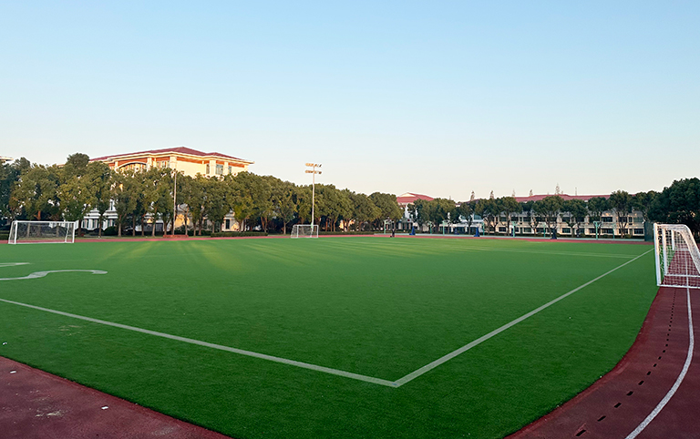 Pure-PT Shanghai Soong Ching Ling School